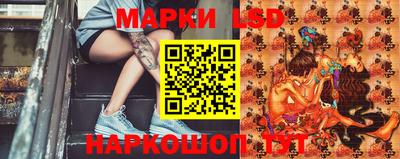 индика Рузаевка