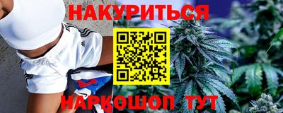 индика Рузаевка