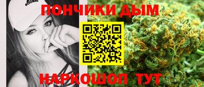 индика Рузаевка