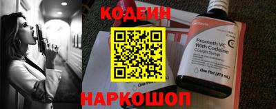 индика Рузаевка